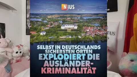 DEUTSCHLANDS Einwanderungstraum ist krass ZERPLATZT! 💥⚡️