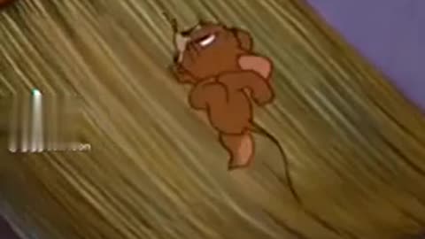 Tom and Jerry funny videos|#Tom #Jerry #funforever