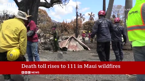 Hawaii wildfire: Maui emergency chief quits after sirens criticism - #BBCNewsAlerts,#BBCCoverage