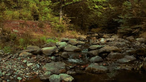 Nature's Oasis: A Scenic Lake with Rocks and Trees| Love me like you do-Ellie goulding (Piano)