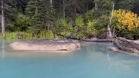 Paddling The Shoreline 🍁 🧊 🌲 🍂 . . . . . . . 📷