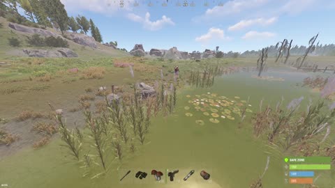 Rust solo