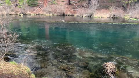 The Beautiful Crystal Clear Color – Metolius River National Recreation Area – Central Oregon