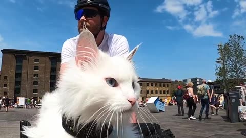 Trying to stay cool during this heatwave! #summer #cuteanimals #funnyvideos #cuteanimalvideos