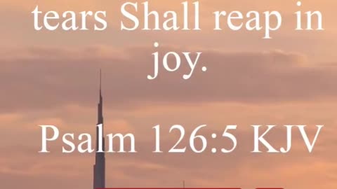 Daily Bible Verse - 12/13/2022