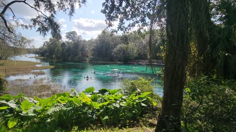 @ Rainbow Springs State Park