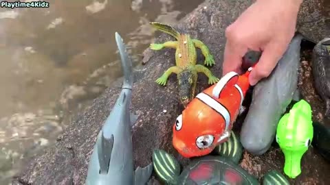 Sea Animal Toys This Summer at the Shore