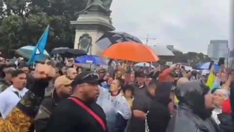 NZ Parliament Anti Mandate Standoff 💣 The Haka Fury