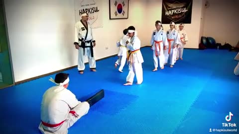 Hapkido