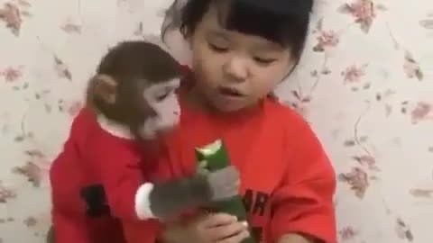 Funny🤣😝 video monkey playing with little girl