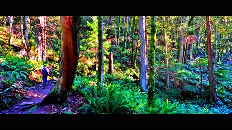 Overlook at the Top | Beautiful Sunset: Poo Poo Point, WA