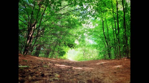 ASMR: Walking down a gravel road