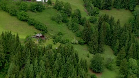 The "marmot granddad" of the Austrian Alps