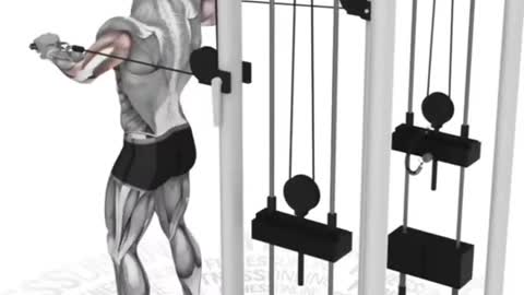 6 Effective Chest Workout Gym Exercises