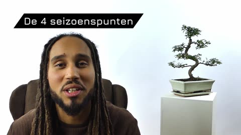 De 4 seizoenspunten