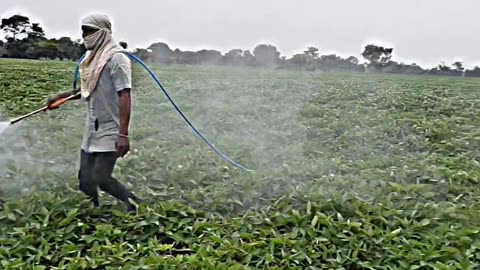 India farmers life style