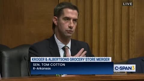 Tom Cotton leaves woke Kroger CEO speechless at hearing