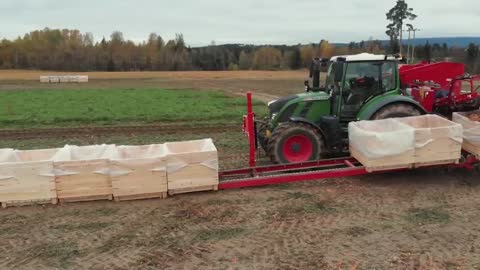 Carrot Juice Making Process | Modern Carrots Harvesting Machine | How Carrot Juice Is Made