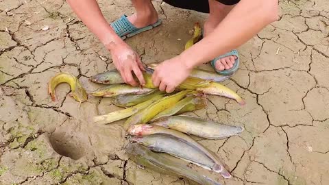 Unbelievable Fishing Technique - Use A Snake To Catch Fish In A Pit Deep In The Ground