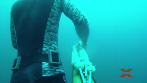 Blue Water Spearfishing Pesca Sub, com Diego Santiago