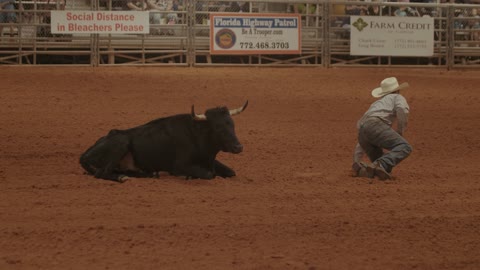 how to tame a bull the cowboy