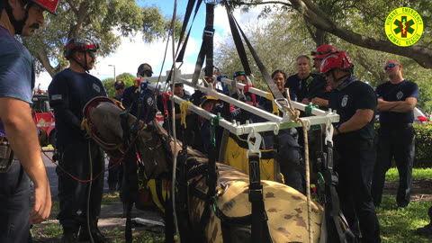 Technical Large Animal Emergency Rescue Training