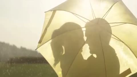 Romantic couple kiss under the Umbrella during rain [Free Stock Video Footage Clips]