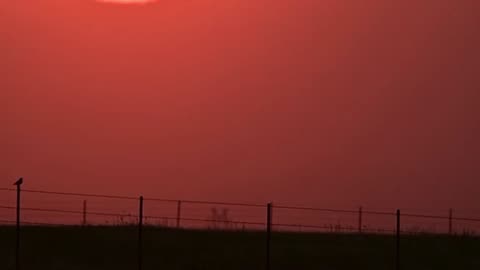 Countryside Bliss: Bird Songs, Sunset Serenity, and Fence Post Musings 🌅