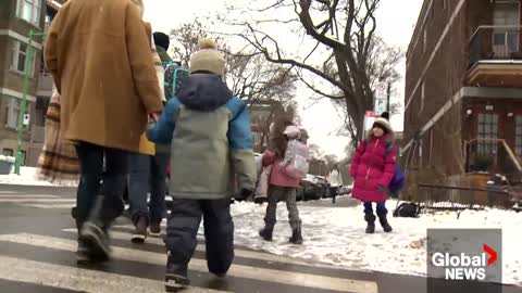 Car runs into baby stroller at crosswalk in Montreal, security video shows