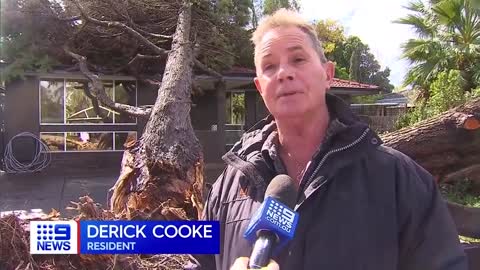 A surprise storm has uprooted trees crushing homes and cars across the suburbs.