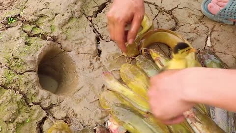 Unbelievable Fishing Technique - Use A Snake To Catch Fish In A Pit Deep In The Ground