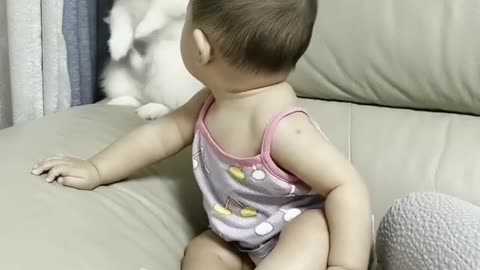 cute dog and baby video