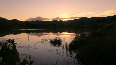 Sunset at the Mountain with natural sound of frog and cricket