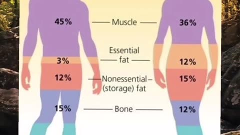 Achieving Optimal Body Composition: A Guide