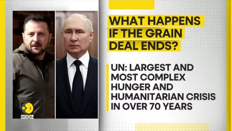 Black Sea grain deal: Can the corridor operate without Russia?