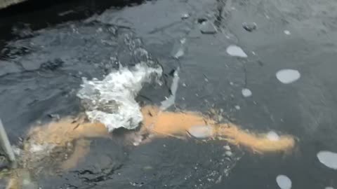 Guy Bumps Head on Ice During Frozen Lake Swim