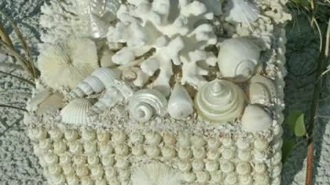 beautiful shell craft ideas / easy craft