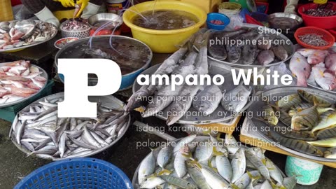 White Pampano