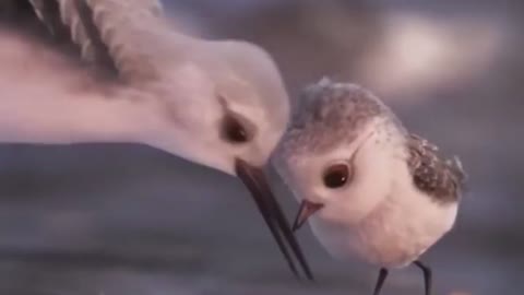 Smart bird dancing with mother bird by the lake