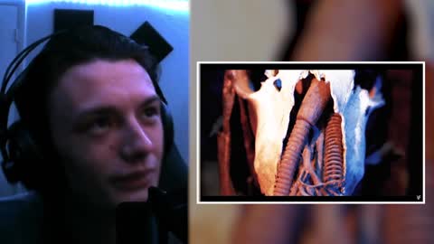 WHAT DID I JUST WATCH!? I Aesthetic Perfection - Gods & Gold ft. Richard Z. Kruspe (Reaction)