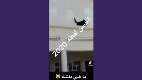 مضحك cool 😂😂😂