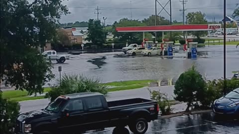 South Carolina hurricane update and unintentionally monkeyfacing,