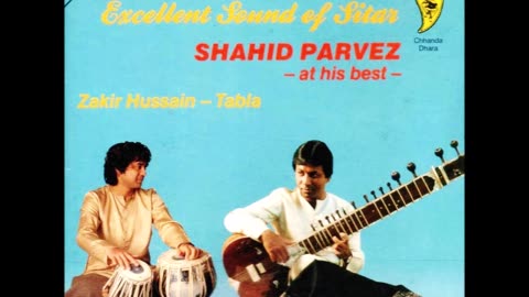 SHAHID PARVEZ---EXCELLENT SOUND OF SITAR