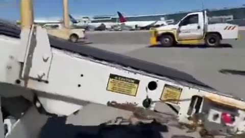 Box Containing Snakes At Vancouver International Airport