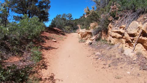 Hiking Cougar Canyon, Utah, Zion