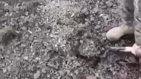 Footage from Ukrainian Demining Unit