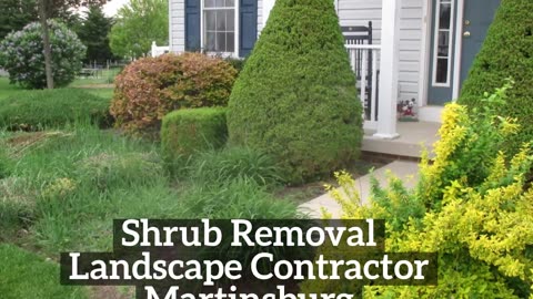 Shrub Removal Martinsburg West Virginia