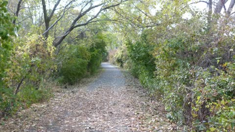 Sterling State Park, Michigan. Slideshow.