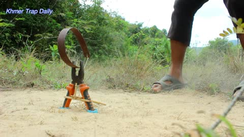 Creative Bird Trap Using Pliers Saws Simple Unique Bird Trap