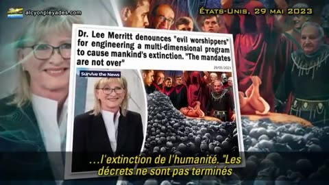 Dr Lee Merritt : les êtres humains sont empoisonnés de toute part June 14, 2023